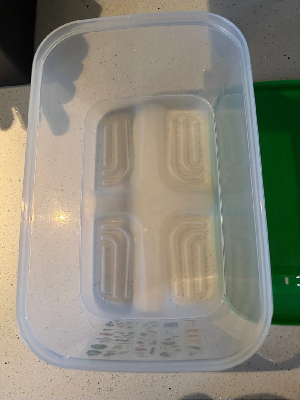 Tupperware Clear Container with Green Lid and Vegetable Graphic